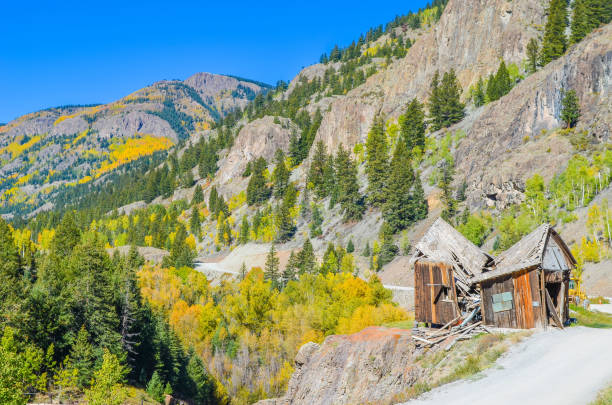 istock Autumn colors as aspen tree change in Colorado 1141348898