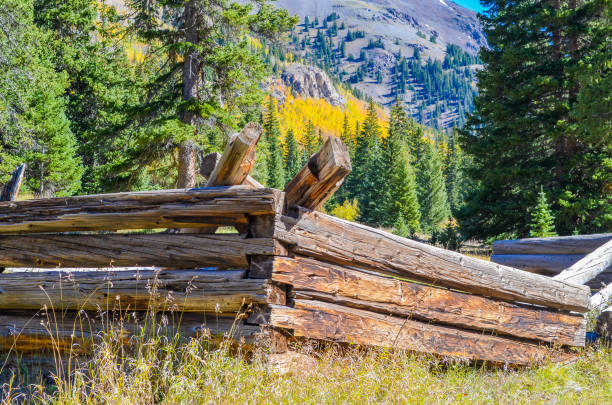 istock Autumn colors as aspen tree change in Colorado 1141349902