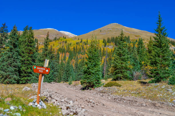 istock Autumn colors as aspen tree change in Colorado 1141350782