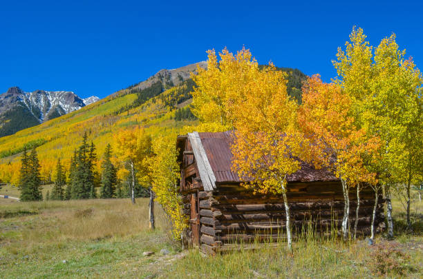 istock Autumn colors as aspen tree change in Colorado 1141352274