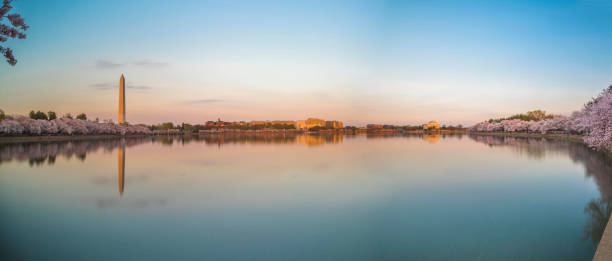 istock Washington DC cherry trees, footpath, Tidal Basin lake, Jefferson Memorial 1141352300