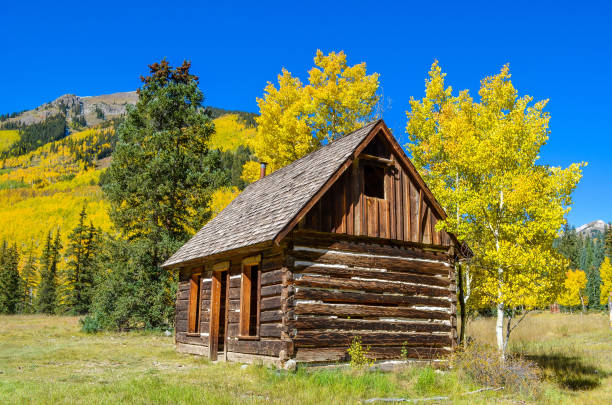istock Autumn colors as aspen tree change in Colorado 1141353248