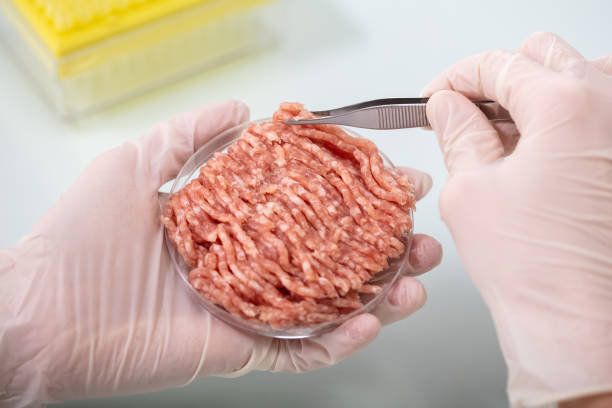 istock Expert Inspecting Meat In Laboratory 1141353613