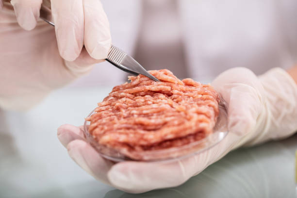 istock Expert Inspecting Meat In Laboratory 1141353616