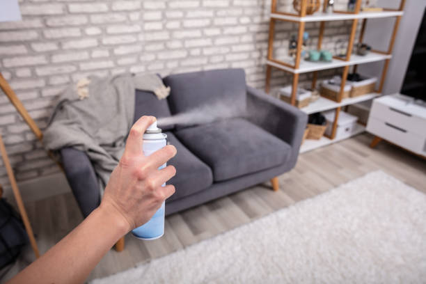 Human Spraying Air Freshener