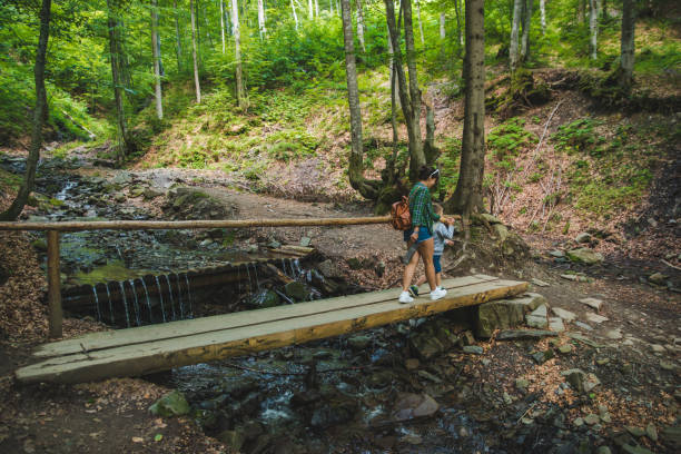istock mother with kid crossing river via bridge in forest 1141357151