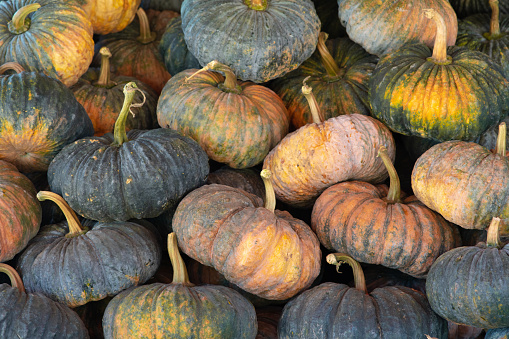 This is a display of autumn pumpkins and squash at a Hudson Valley farmers market in upstate New York.