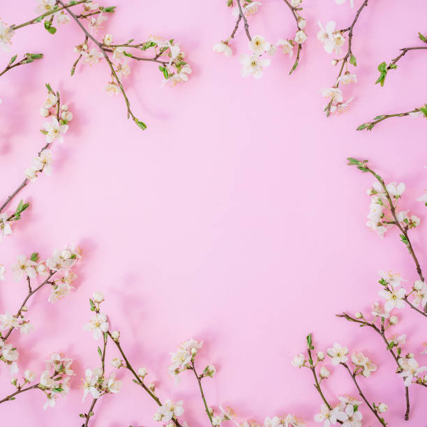 istock Floral frame with spring flowers on pink background. Flat lay, top view 1141357378