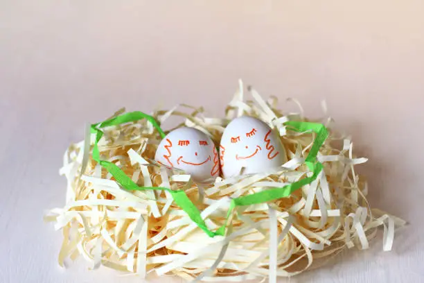 pair of chicken eggs with painted smiles lie in the nest