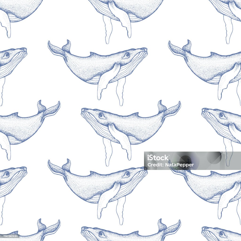 Hoa Văn Liền Mạch Với Cá Voi Lưng Gù Vẽ Tay Vector Với Động Vật ...