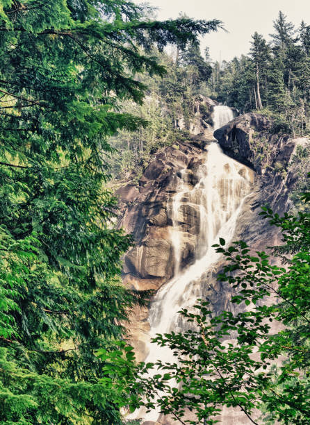 istock Shannon Falls Provincial Park, Squamish, Canada 1141361932