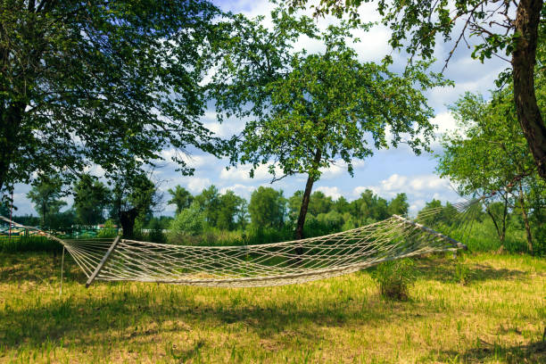 Hammock on the summer garden