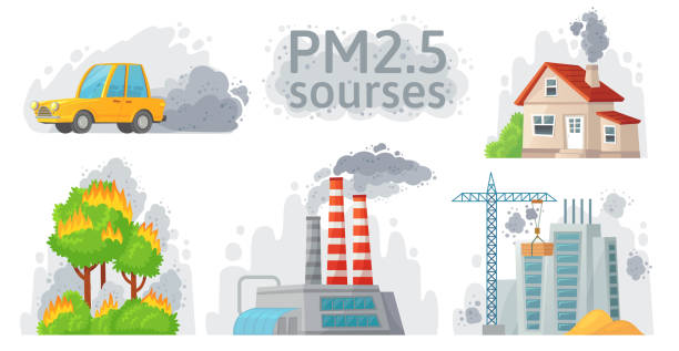 Air pollution source. PM 2.5 dust, dirty environment and polluted air sources infographic vector illustration Air pollution source. PM 2.5 dust, dirty environment and polluted air sources infographic. Industrial outdoor fog, town pollution or city dust danger. Cartoon vector isolated symbols illustration set smog car stock illustrations