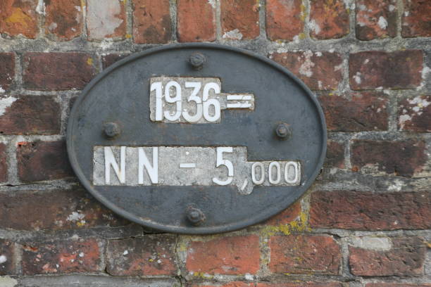 Flood mark of a storm surge
