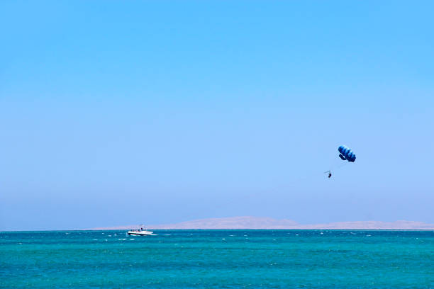 man is fond of parasailing over red sea. tropical resort in egypt - 12023 imagens e fotografias de stock