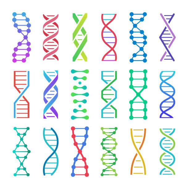 다채로운 dna 아이콘입니다. adn 구조 나선형, 디옥시리보핵산 산 의학 연구 및 인간 생물학 유전학 코드 벡터 아이콘 세트 - abstract dna cell multi colored stock illustrations