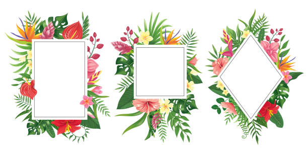 ilustraciones, imágenes clip art, dibujos animados e iconos de stock de marcos de flores tropicales. bordes tropicales botánicos, marco de invitación de flores trópico y plantas de verano hojas verdes de fondo vectorial - tropical flowers