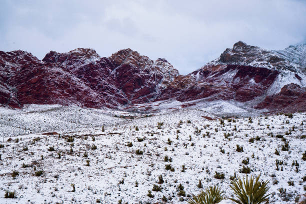 istock Red Rock Canyon with snow 1141366241