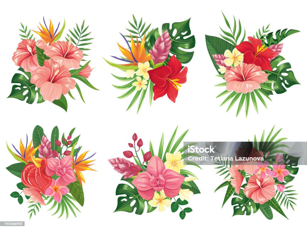 Ilustración de Ramo De Flores Tropicales Hojas De Palma Exóticas Ramos De Flores Trópico Y Tropicals Invitación De La Boda Vector Ilustración Conjunto y más Vectores Libres de Derechos de Flor - Ilustración de Ramo De Flores Tropicales Hojas De Palma Exóticas Ramos De Flores Trópico Y Tropicals Invitación De La Boda Vector Ilustración Conjunto y más Vectores Libres de Derechos de Flor -