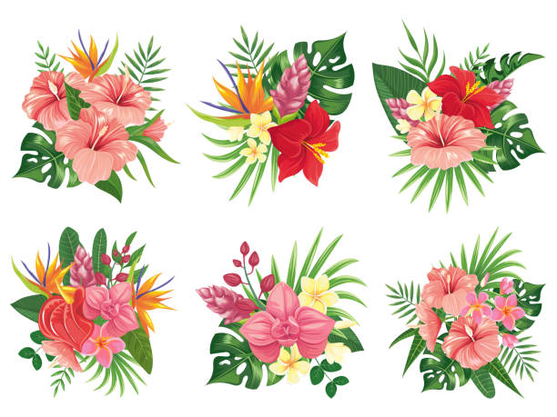 bukiet kwiatów tropikalnych. egzotyczne liście palmowe, kwiatowe bukiety tropikowe i tropikalne zaproszenie ślubne zestaw ilustracji wektorowych - egzotyka obrazy stock illustrations