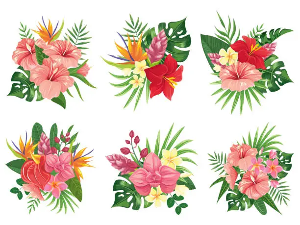 Vector illustration of Tropical flowers bouquet. Exotic palm leaves, floral tropic bouquets and tropicals wedding invitation vector illustration set