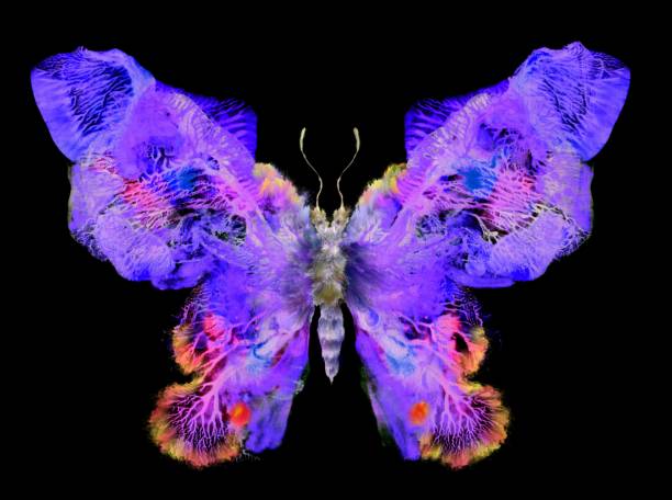ilustrações, clipart, desenhos animados e ícones de borboleta pintada fantástica - spring abstract insect dreams