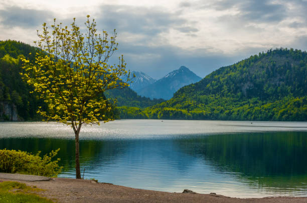 Beautiful alpine lake in Bavaria.