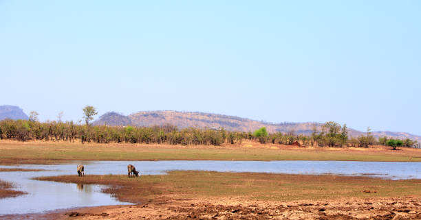 Panoramic view of Lake Kariba, which is located in Matusadona National Park, Zimbabwe stock photo