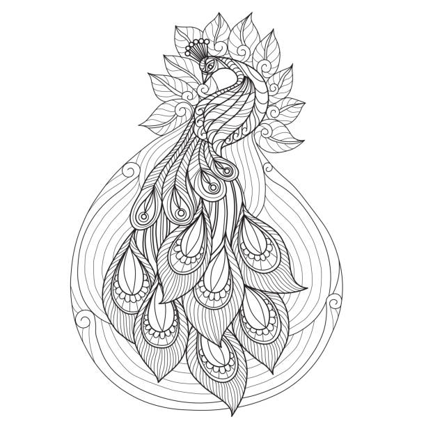 Hand drawn illustration of peacock in doodle style Hand drawn sketch illustration for adult coloring book vector was made in eps 10. coloring book page illlustration technique illustrations stock illustrations