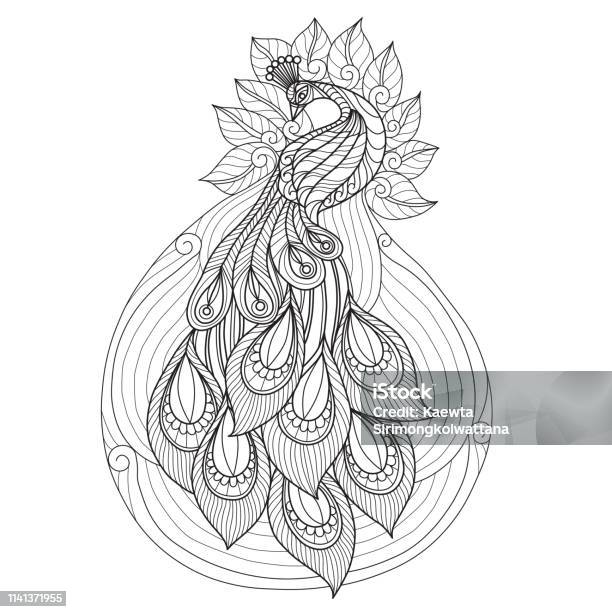 Hand Drawn Illustration Of Peacock In Doodle Style Stock Illustration - Download Image Now - Peacock, Black Color, Coloring Book Page - Illlustration Technique