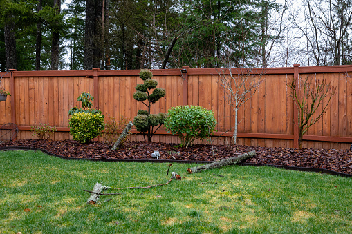 Rotten Tree Fell on the Top of a Fence, and Shattered in Multiple Pieces due to High Winds During Winter.