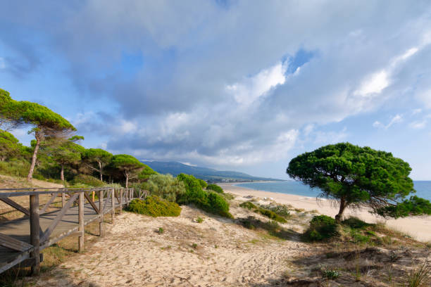 Bolonia Dune, Cadiz Province, Andalusia, Spain Beach and dune of Bolonia between Cadiz and Tarifa tarifa stock pictures, royalty-free photos & images