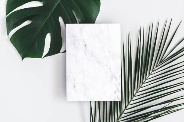 istock Summer composition. Tropical palm leaves, marble paper blank on pastel gray background. Summer concept. Flat lay, top view, copy space 1141377480