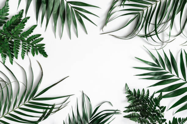 istock Summer composition. Tropical palm leaf on pastel gray background. Summer concept. Flat lay, top view, copy space 1141377595