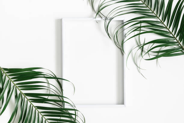 istock Summer composition. Tropical palm leaves, white photo frame on white background. Summer, nature concept. Flat lay, top view, copy space 1141377615