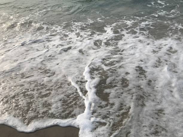 istock Beach on the Baltic sea 1141377755