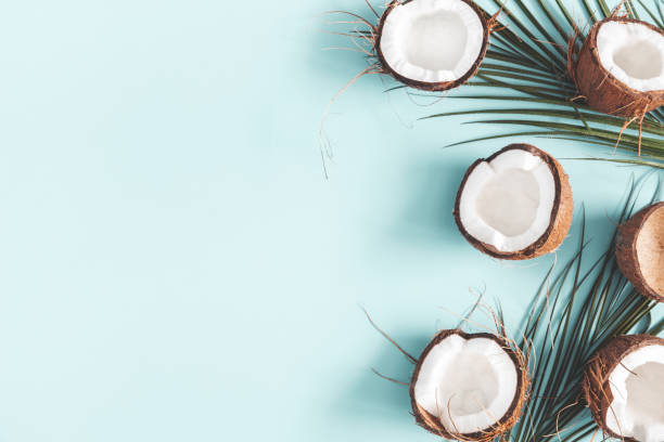 Summer composition. Coconut, palm leaf on pastel blue background. Summer concept. Flat lay, top view, copy space