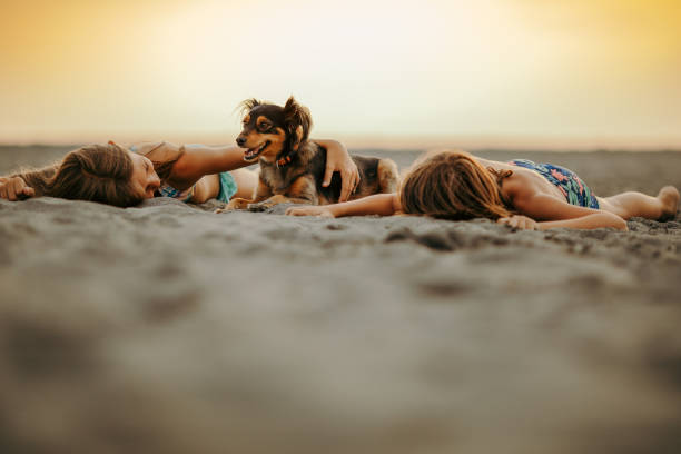Boy and girl playing and cuddling their little dog on send beach at sunset