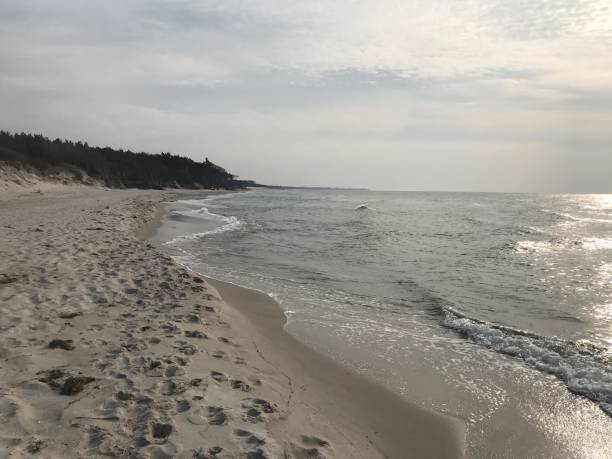 istock Beach on the Baltic sea 1141378980