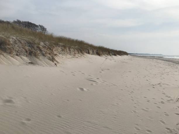 istock Beach on the Baltic Sea 1141382816