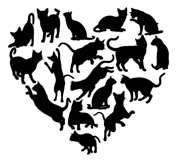 illustrazioni stock, clip art, cartoni animati e icone di tendenza di concetto di silhouette del cuore di gatto - kitten white background domestic animals domestic cat