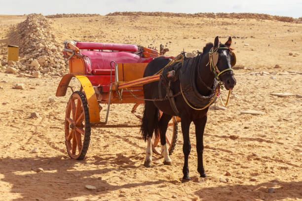 istock Horse chariot in desert 1141386750