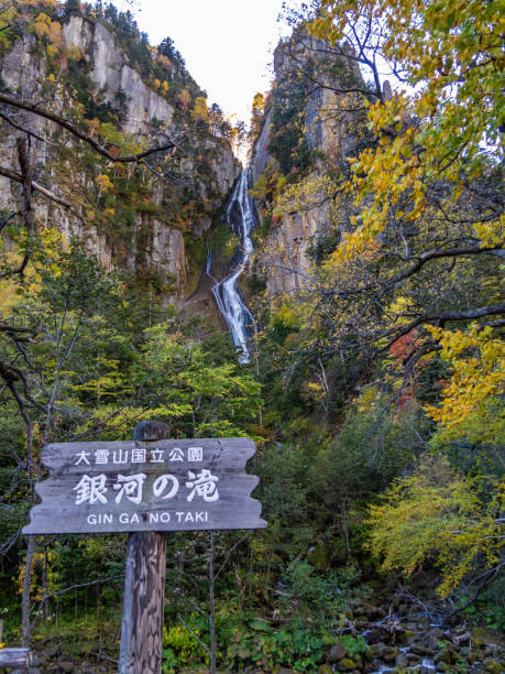 일본어 번역은 "가 잉 폭포"입니다. 가 링가 폭포는 다 국립 공원의 일부입니다. 가 링가 폭포는 일본 홋카이도 소운 쿄 카 미카와 지구에 위치 하 고 있습니다. - hokkaido japan stream forest 뉴스 사진 이미지