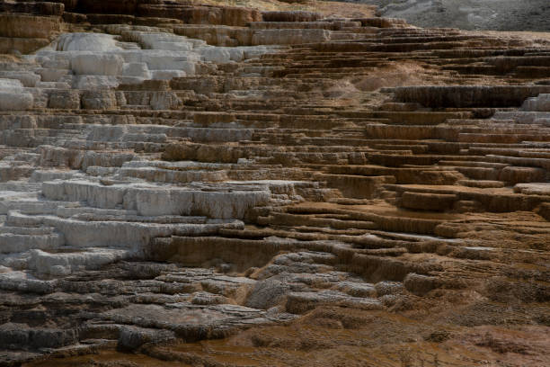 Mammoth Hot Springs environment in Yellowstone National Park