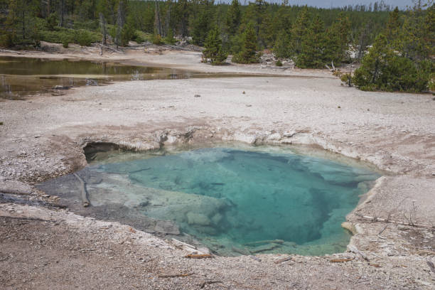 istock Fumarole and geyser environment in Yellowstone 1141389149