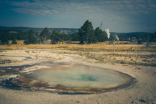 Fumarole and geyser environment in Yellowstone National Park