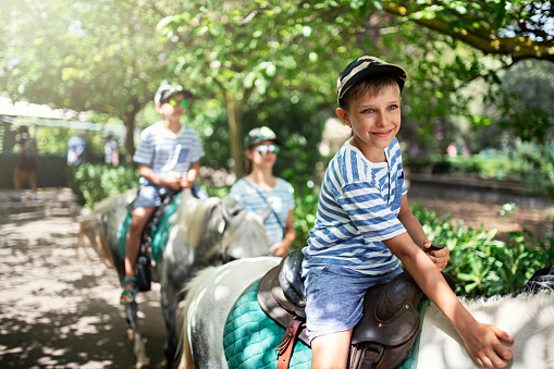 Kids enjoying pony ride. Little boy is smiling and petting the pony.\nSunny summer day.\nNikon D850