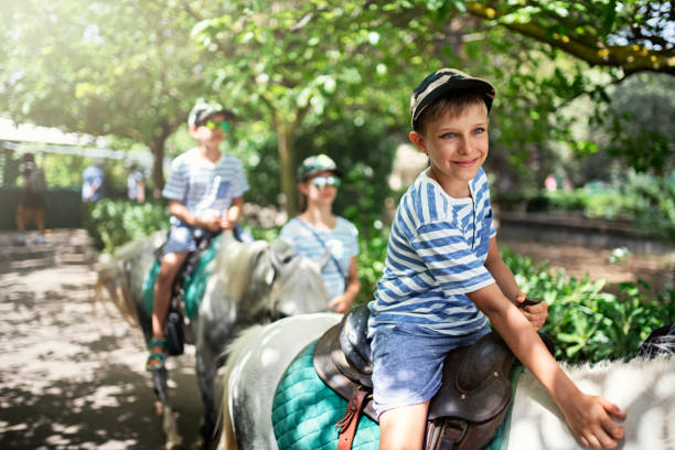 Kids enjoying riding ponies. Kids enjoying pony ride. Little boy is smiling and petting the pony.
Sunny summer day.
Nikon D850 pony photos stock pictures, royalty-free photos & images
