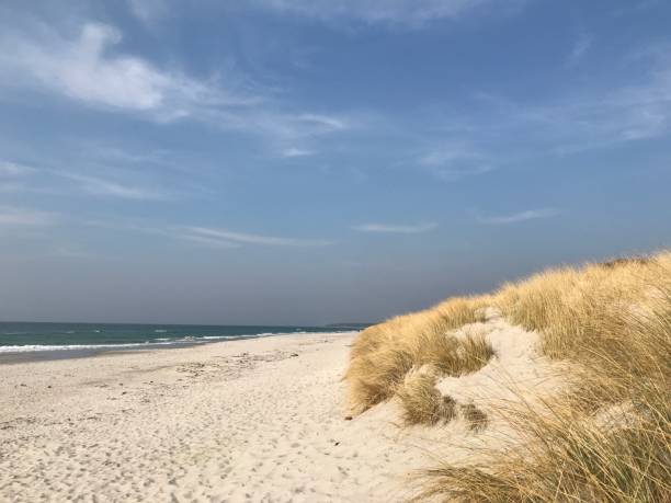 istock Beach on the Baltic Sea 1141390062