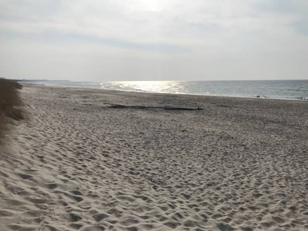 istock Beach on the Baltic Sea 1141390983